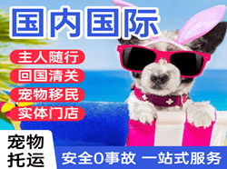 珠海机场货运国际宠物托运 【国